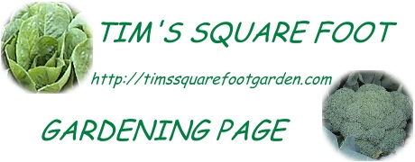 Tim's Square Foot Gardening Page